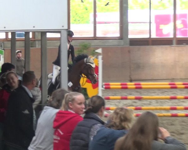 Reitturnier Leverkusen-Rheindorf 2018