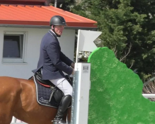 Reitturnier Langenau 2018