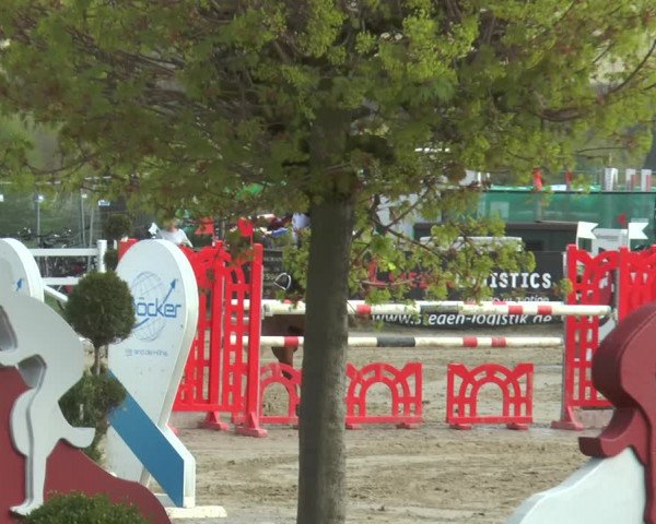 Lenklarer Reitertage 2018