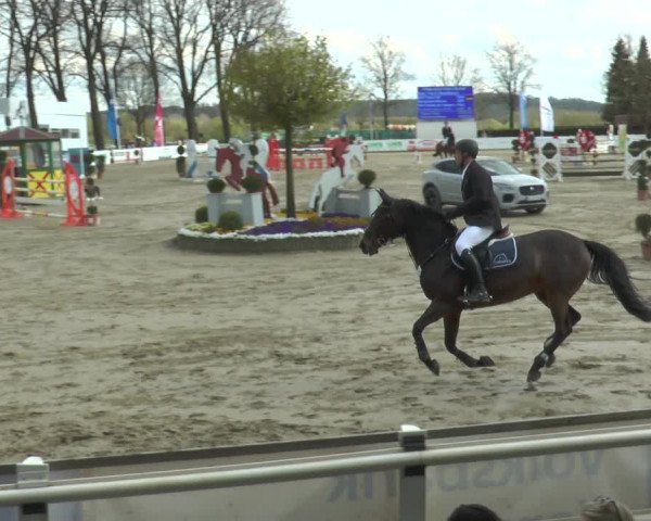 Lenklarer Reitertage 2018