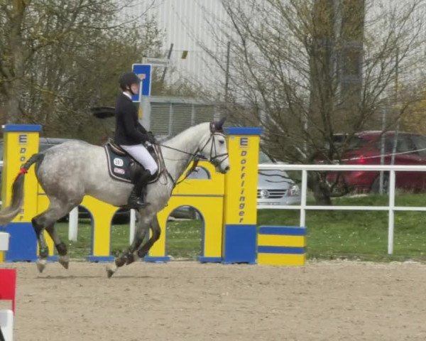 Reitturnier Langenau 2018