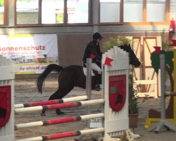 Reitturnier Leverkusen-Rheindorf 2018