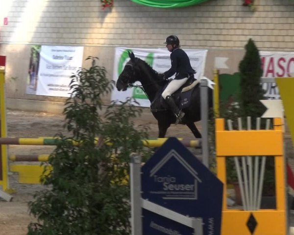 Reitturnier Leverkusen-Rheindorf 2018