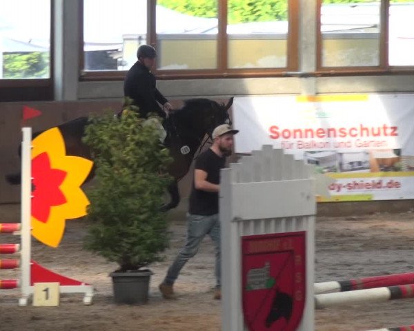 Reitturnier Leverkusen-Rheindorf 2018