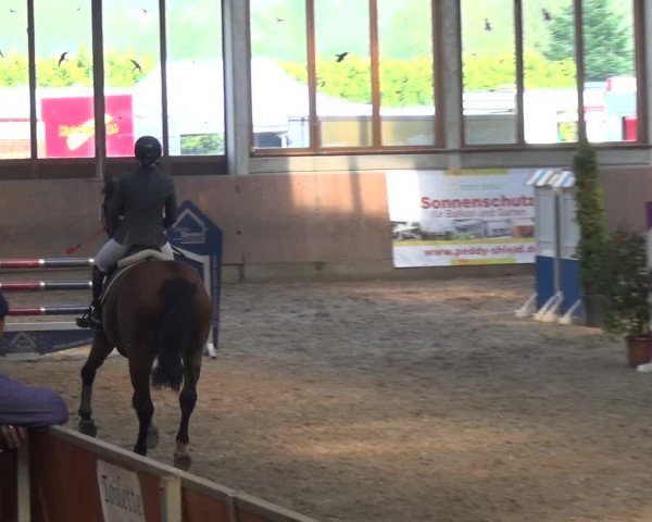 Reitturnier Leverkusen-Rheindorf 2018