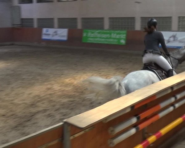 Reitturnier Leverkusen-Rheindorf 2018