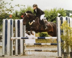 jumper Thessa Furiosa HW (German Riding Pony, 2010, from Top Gun I)