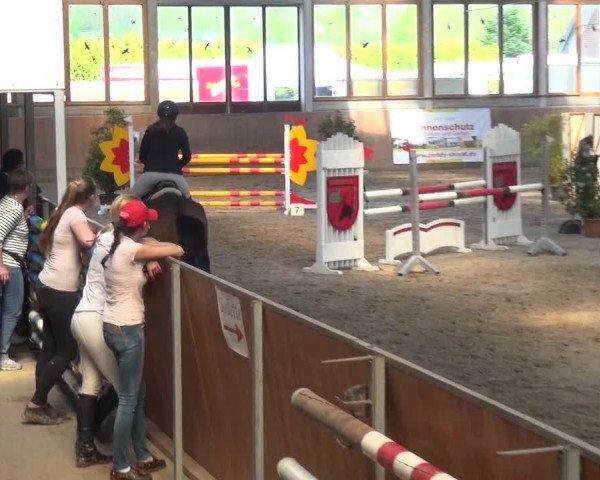 Reitturnier Leverkusen-Rheindorf 2018