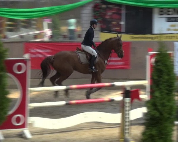 Reitturnier Leverkusen-Rheindorf 2018