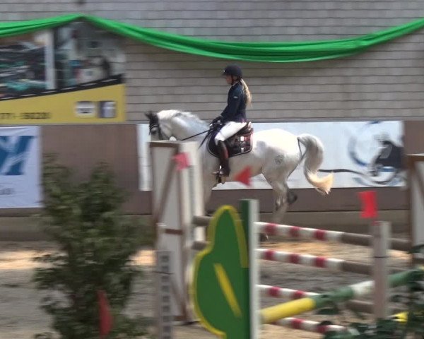 Reitturnier Leverkusen-Rheindorf 2018