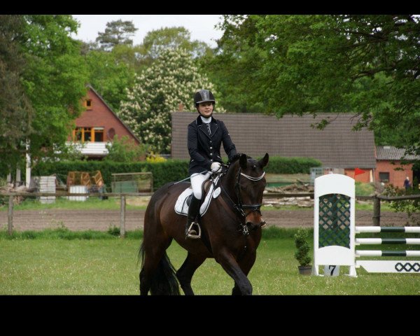 jumper Quinntina 2 (Oldenburg, 2011, from Quality 9)