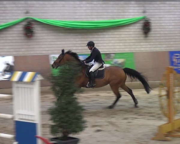 Reitturnier Leverkusen-Rheindorf 2018