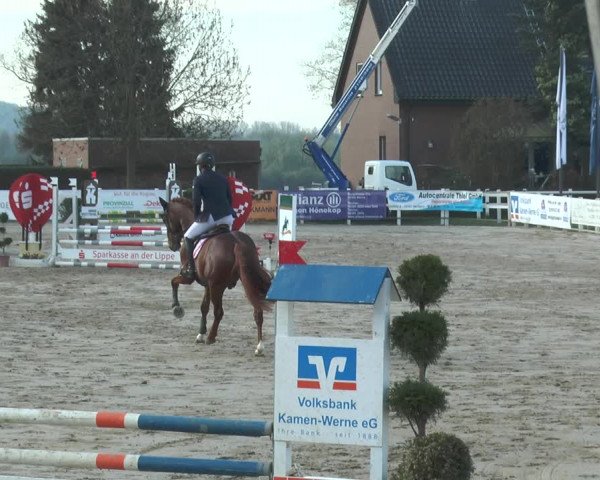 Lenklarer Reitertage 2018
