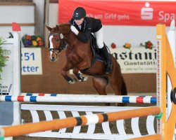 dressage horse Gina 1791 (German Riding Pony, 2008, from A Gorgeous)