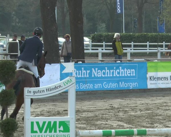 Lenklarer Reitertage 2018