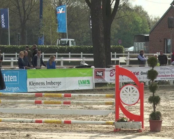 Reitturnier Werne-Lenklar 2018