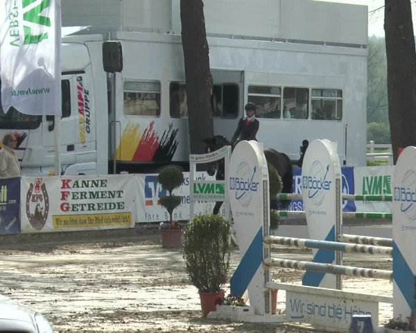 Reitturnier Werne-Lenklar 2018