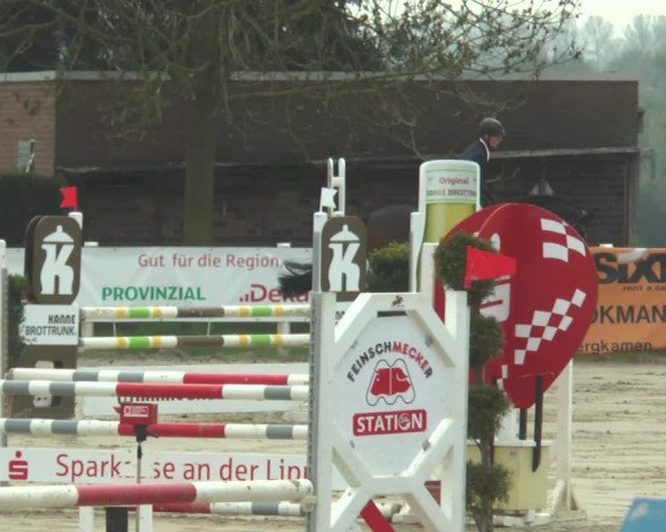 Reitturnier Werne-Lenklar 2018
