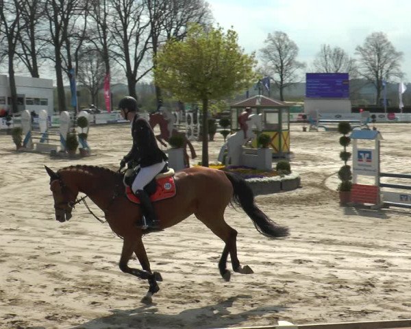 Lenklarer Reitertage 2018