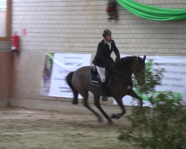 Reitturnier Leverkusen-Rheindorf 2018