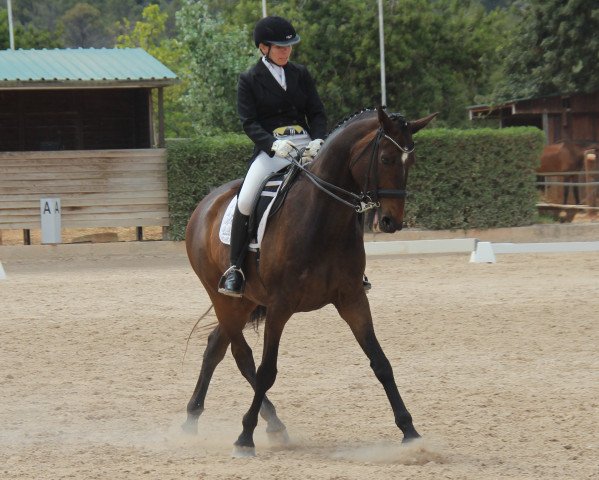 horse Lac Leman G (Luxembourg horse, 2006, from Londonderry)
