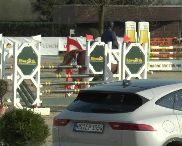 Lenklarer Reitertage 2018