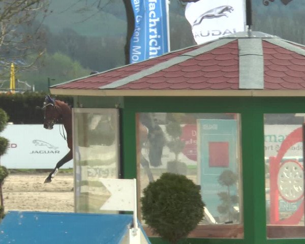 Lenklarer Reitertage 2018