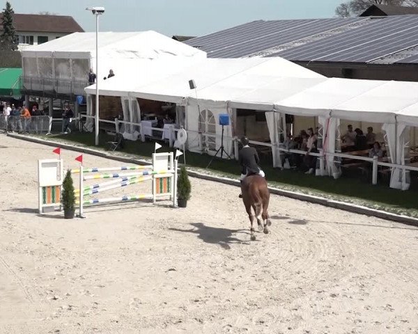 Reitturnier Horn 2018