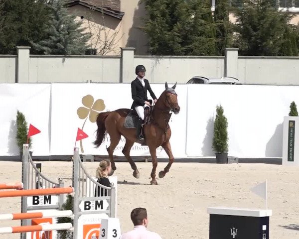 Reitturnier Horn 2018