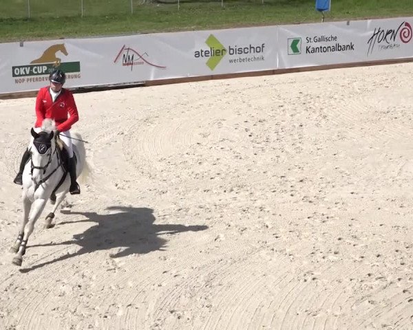 Reitturnier Horn 2018