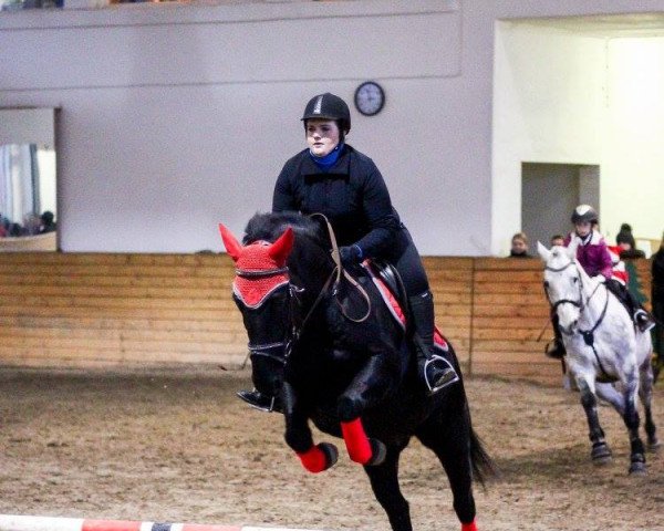 Pferd Ildra (Lettisches Warmblut, 2010)