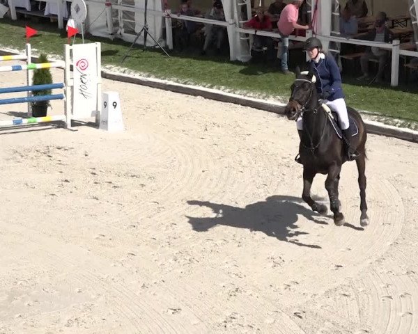 Reitturnier Horn 2018