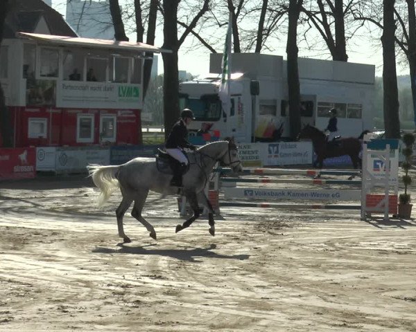 Reitturnier Werne-Lenklar 2018
