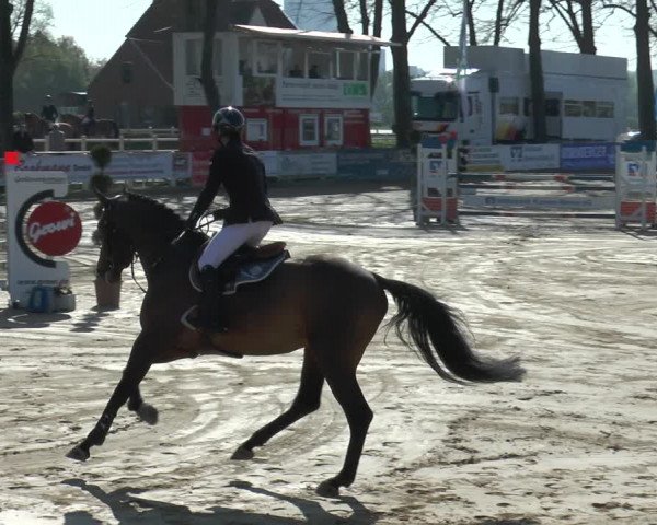 Lenklarer Reitertage 2018