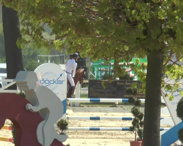 Reitturnier Werne-Lenklar 2018