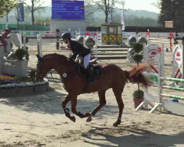 Reitturnier Werne-Lenklar 2018