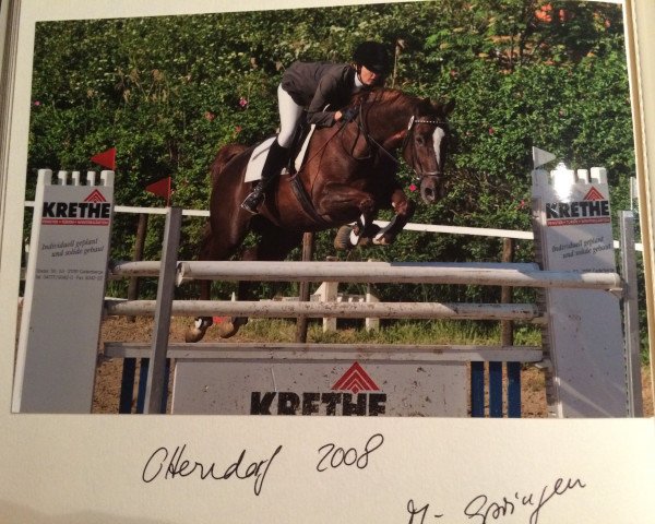 broodmare Emily 28 (Hanoverian, 1998, from Espri)