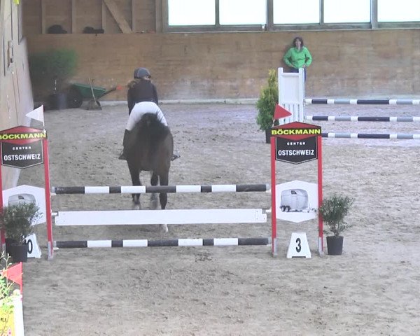 Reitturnier Rüti 2018