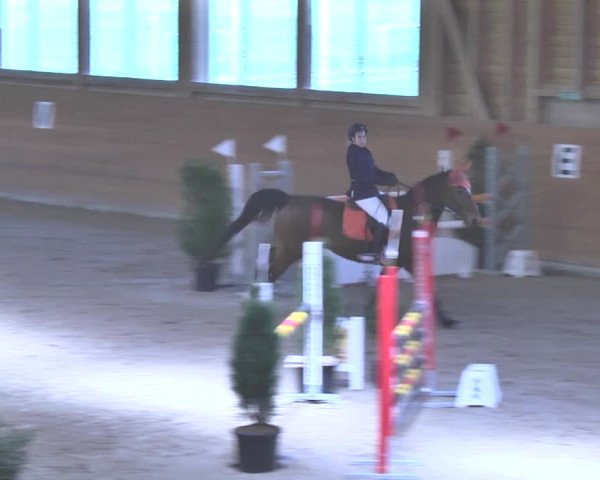 Reitturnier Rüti 2018