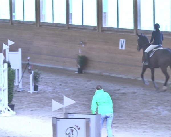 Reitturnier Rüti 2018