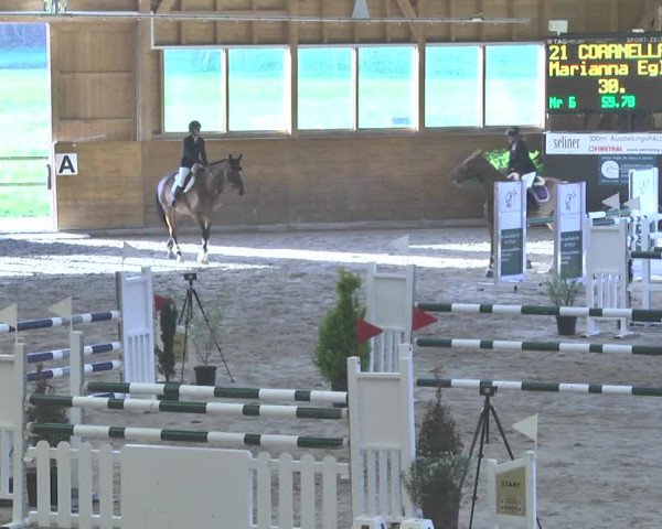 Reitturnier Rüti 2018
