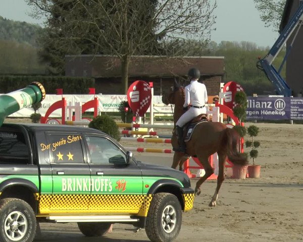 Reitturnier Werne-Lenklar 2018