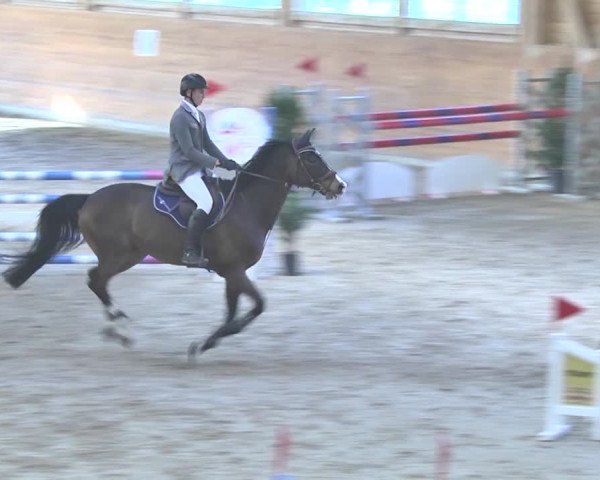Reitturnier Rüti 2018