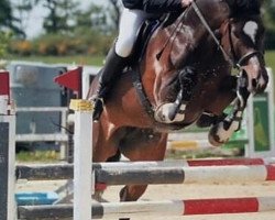 broodmare Candy 696 (Holsteiner, 2005, from Calato)