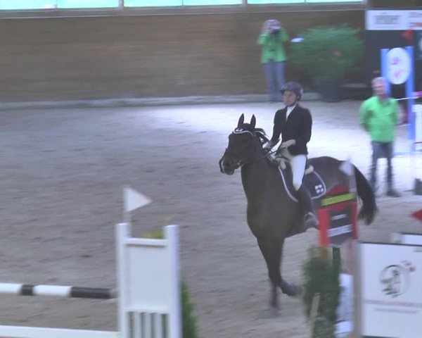 Reitturnier Rüti 2018