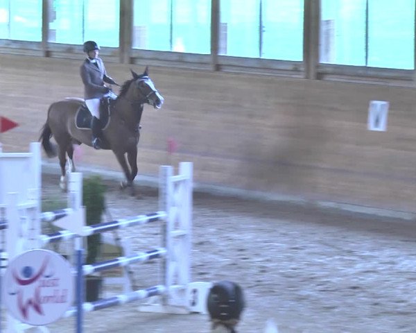 Reitturnier Rüti 2018
