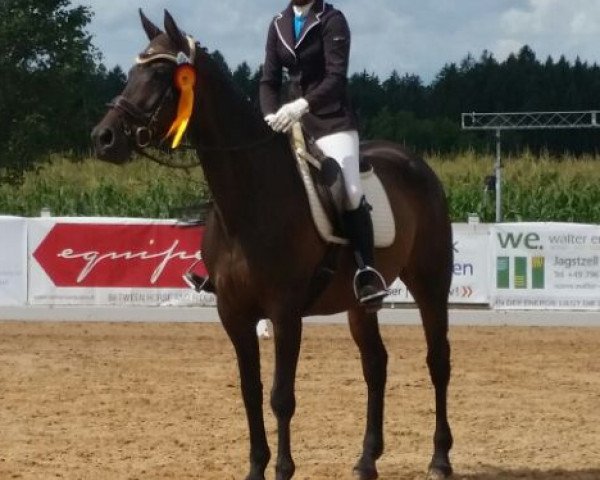broodmare Helana 2 (Trakehner, 1997, from Caprimond)