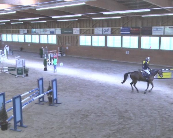 Reitturnier Rüti 2018