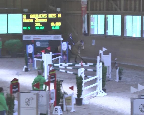 Reitturnier Rüti 2018