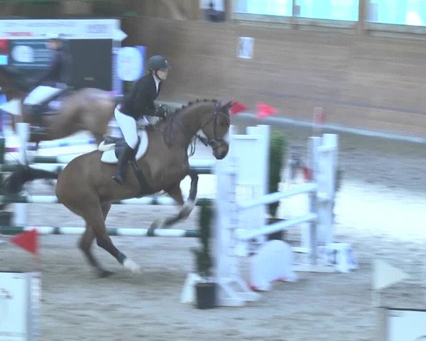 Reitturnier Rüti 2018